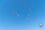 Click to enlarge image DSC05277.jpg