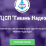 О работе социально ориентированной некоммерческой организации АНО «ЦСП «Гавань Надежды». - Город Мыски