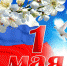 Уважаемые мысковчане! - Город Мыски