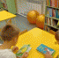Книжное путешествие по детской библиотеке - ЦБС г. Мыски