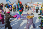 Февральская метель