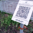 Участники волонтёрского отряда «Лидер» установили QR-таблички на памятных местах - Управление культуры, спорта, молодежной и национальной политики