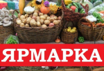 Сельскохозяйственная ярмарка.